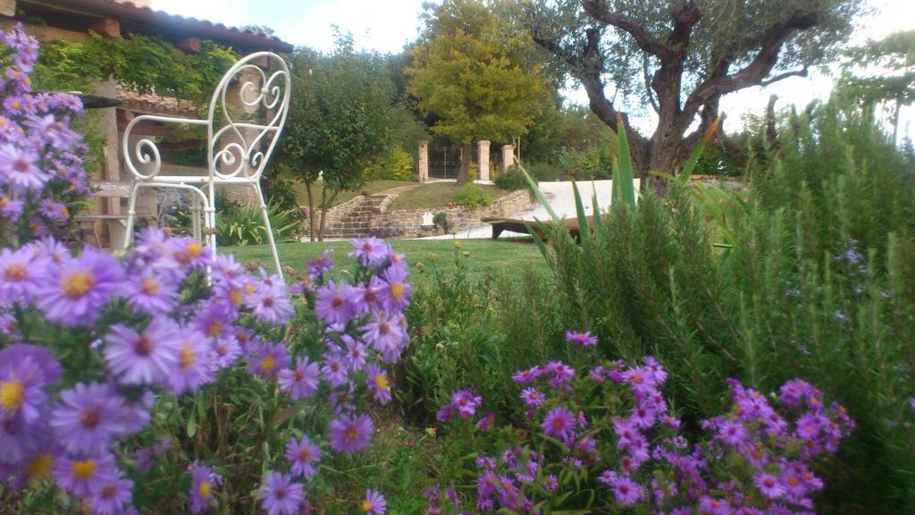 Poggio Dei Prugnoli Bed & Breakfast Tavoleto Exterior photo